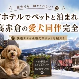 アパホテルでペットと泊まれる施設と妙高赤倉の愛犬同伴完全ガイド
