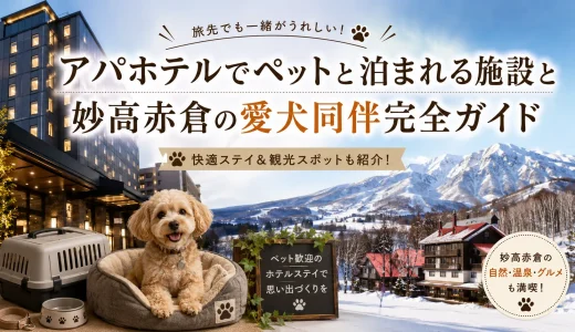 アパホテルでペットと泊まれる施設と妙高赤倉の愛犬同伴完全ガイド